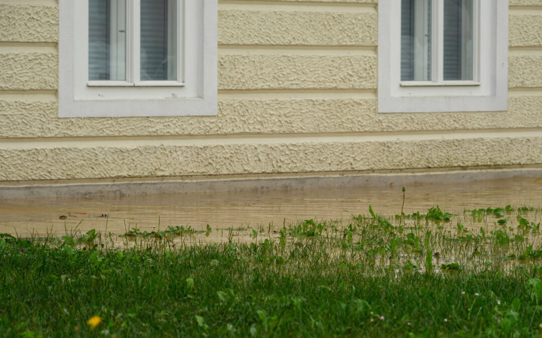 Why Is Water Pooling Around My Foundation?