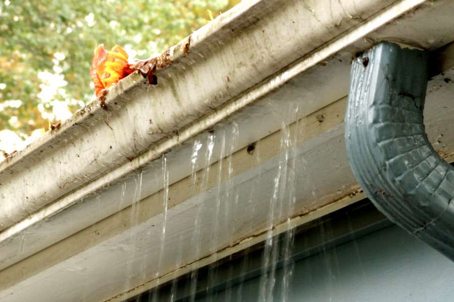 What to Do When My Gutters Are Overflowing